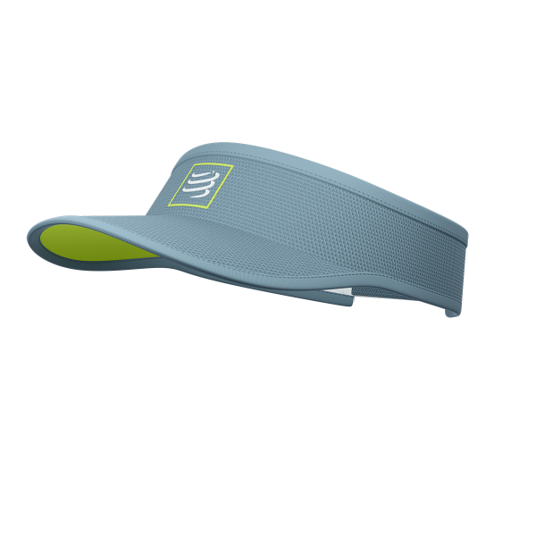 Visor